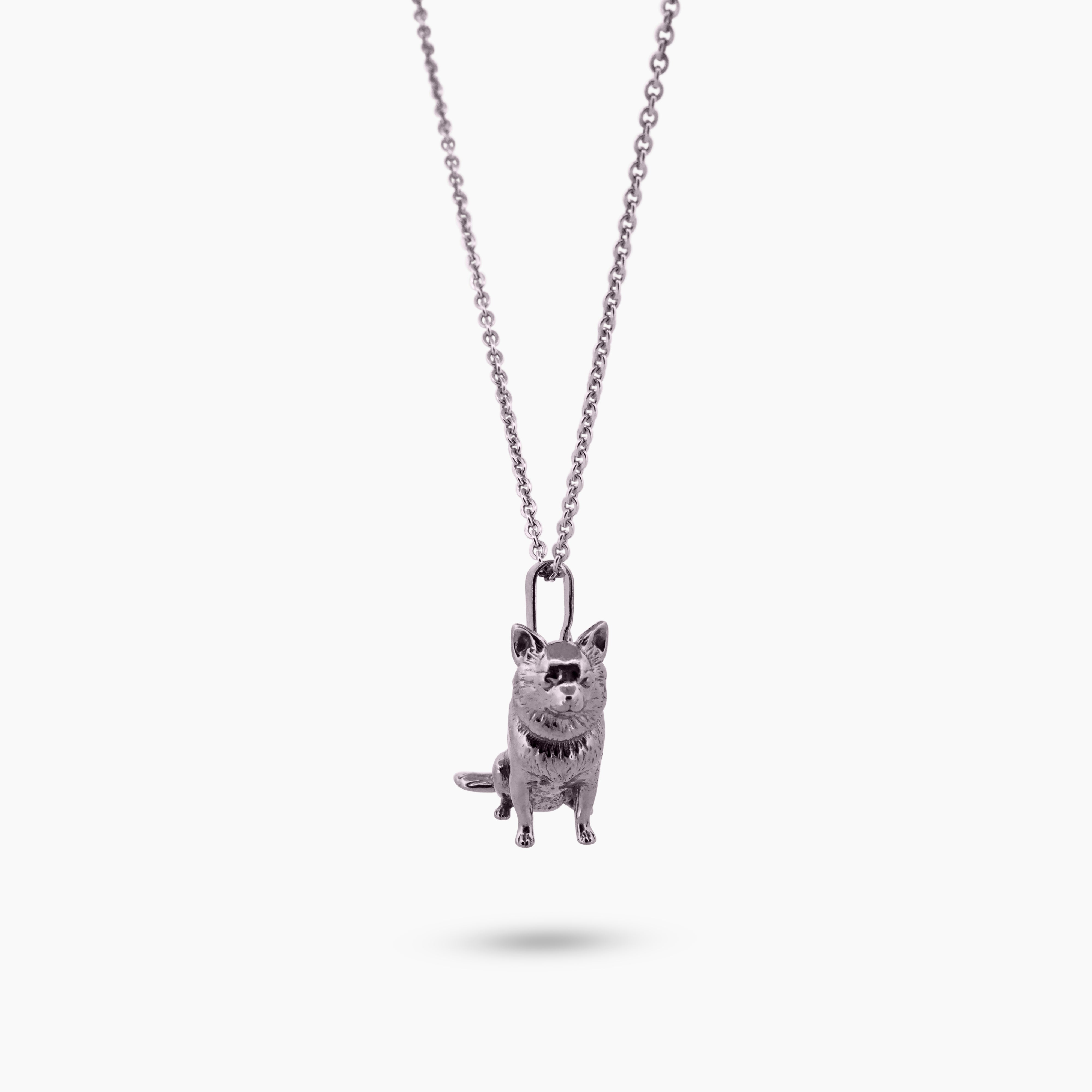 Pinch me bedel Chihuahua bedel close-up met fijne details van vacht en oren