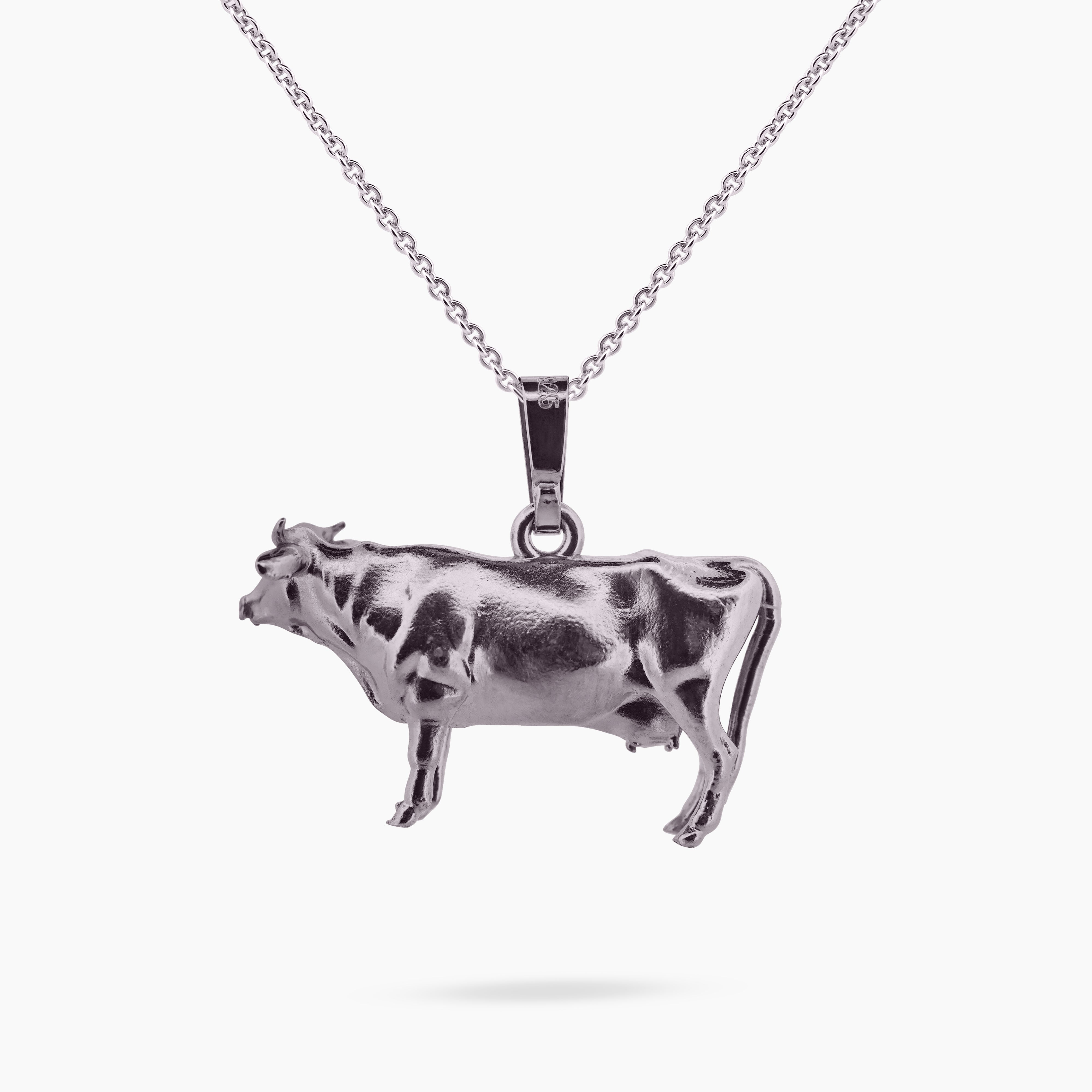 Achterzijde koe met luxe plaatoog