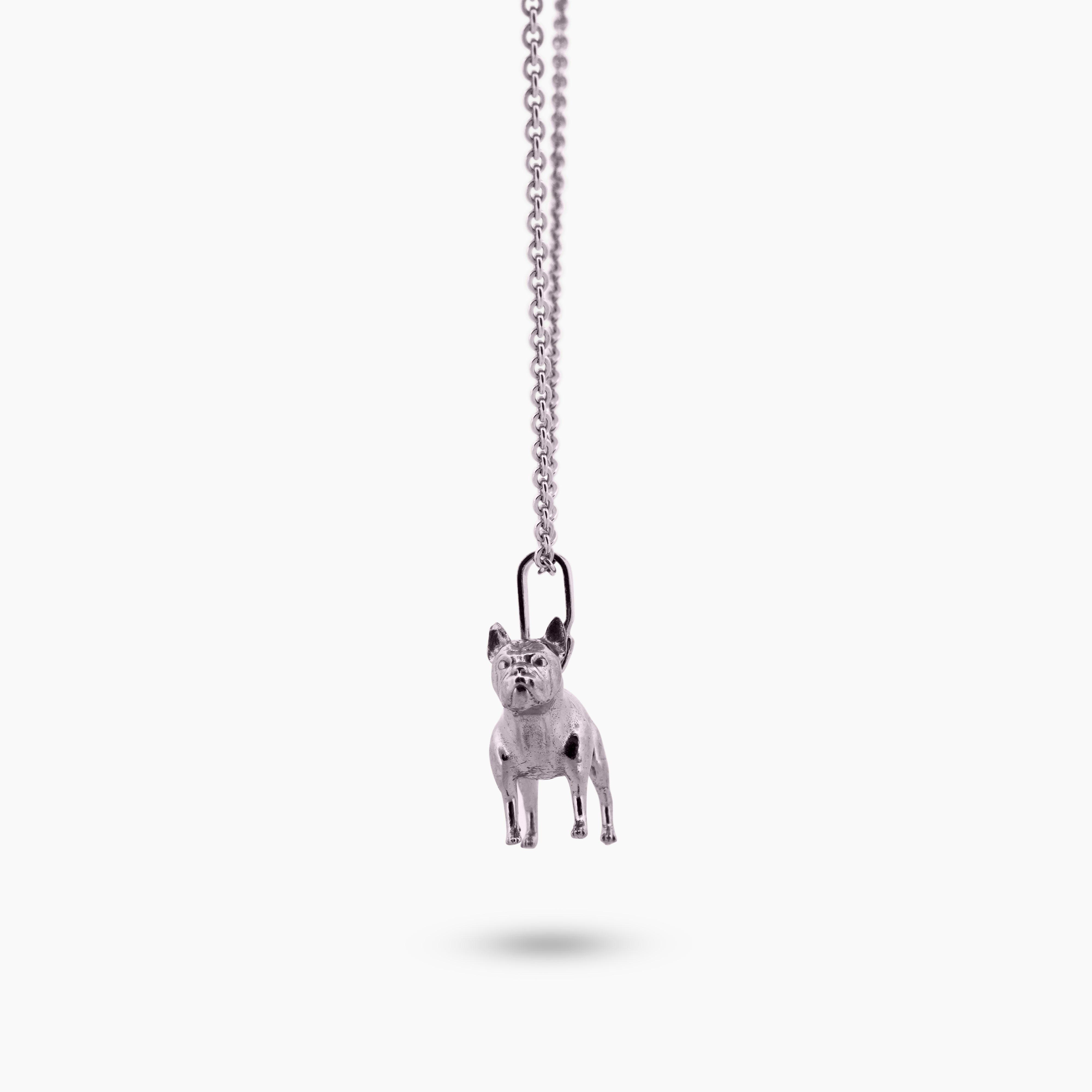 pinchme bedel close-up van Franse Bulldog bedel met platte snuit en grote oren