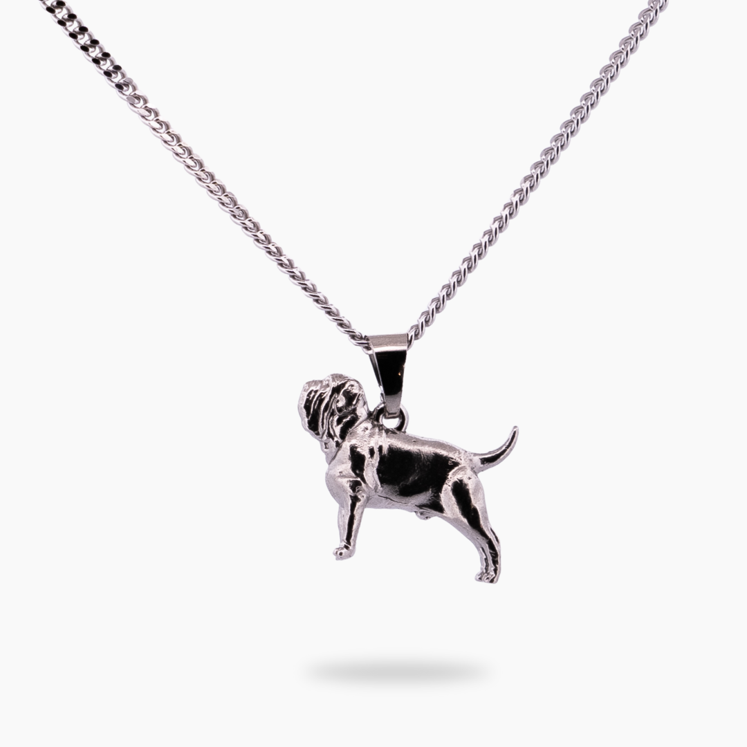 Hond 20 ketting - Zilver - Pinchme