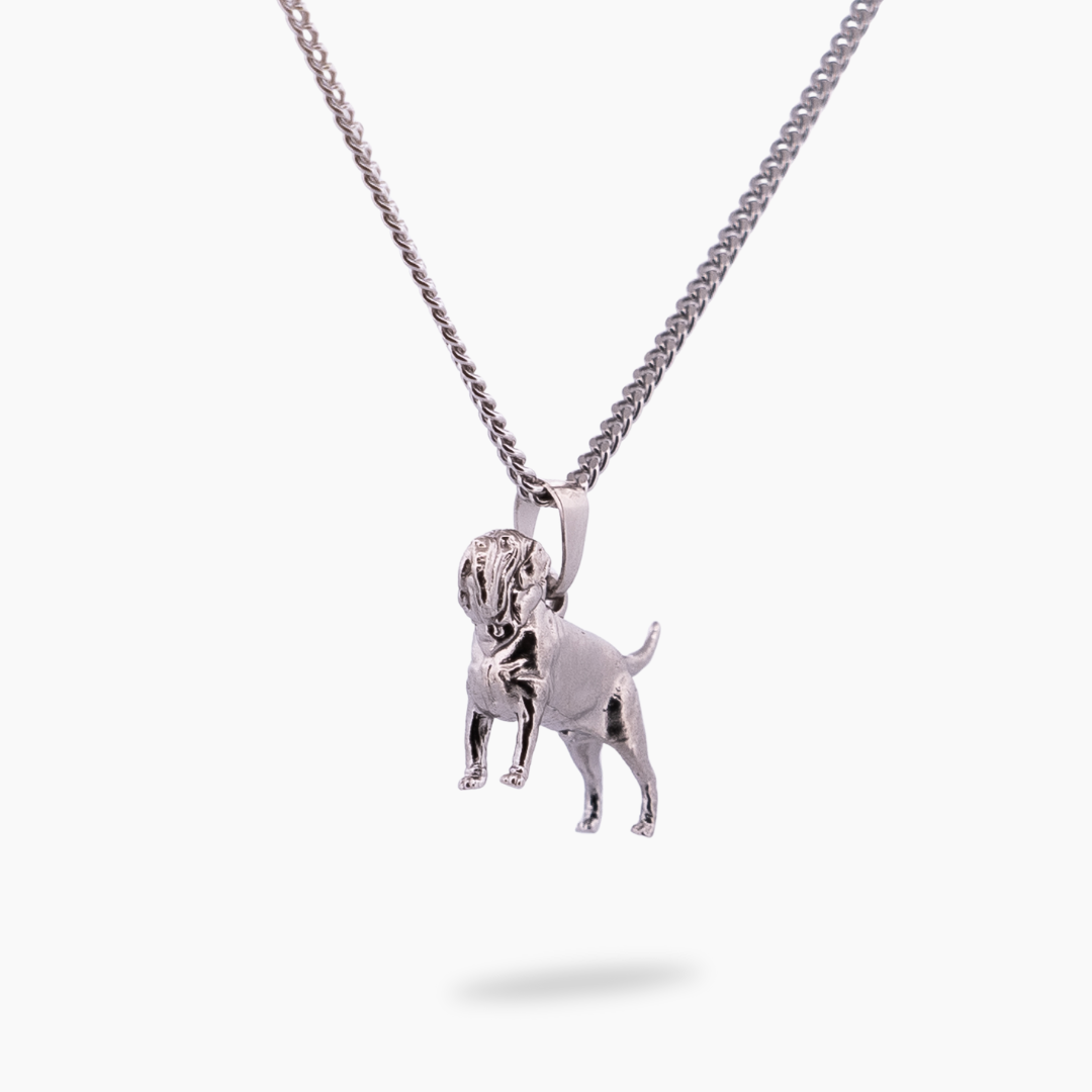 Hond 20 ketting - Zilver - Pinchme