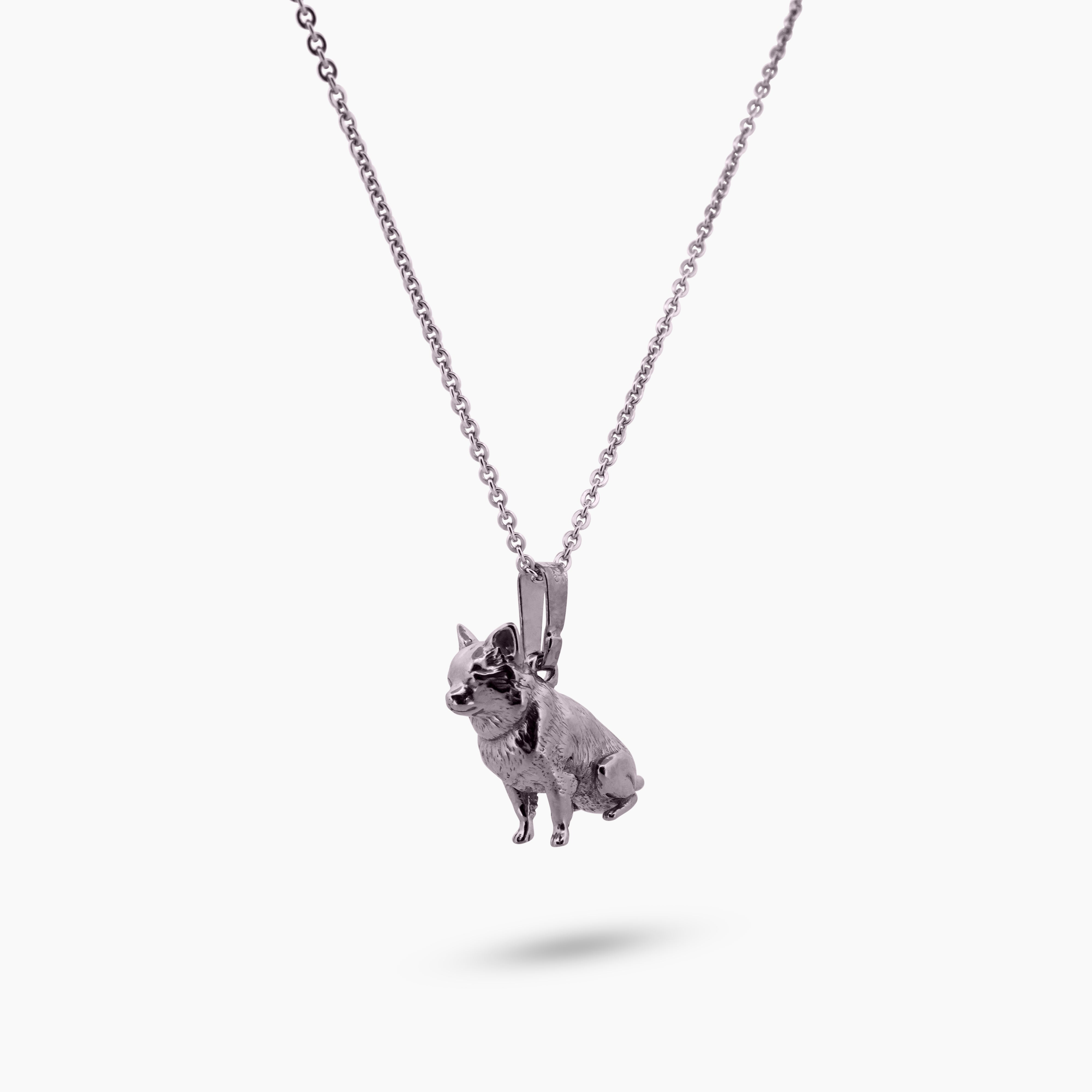 Pinch me Chihuahua bedel close-up met fijne details van vacht en oren