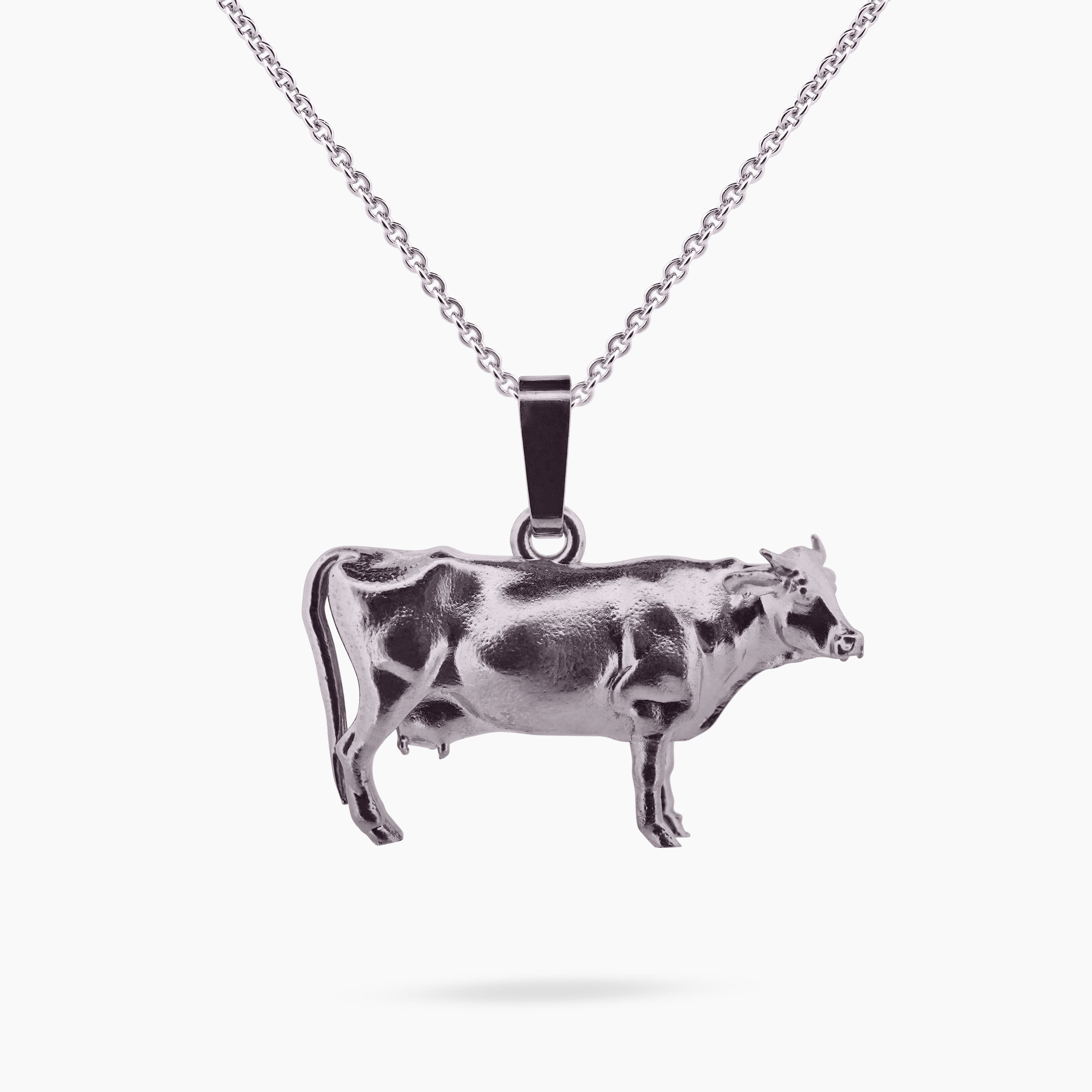 Koe bedel vooraanzicht