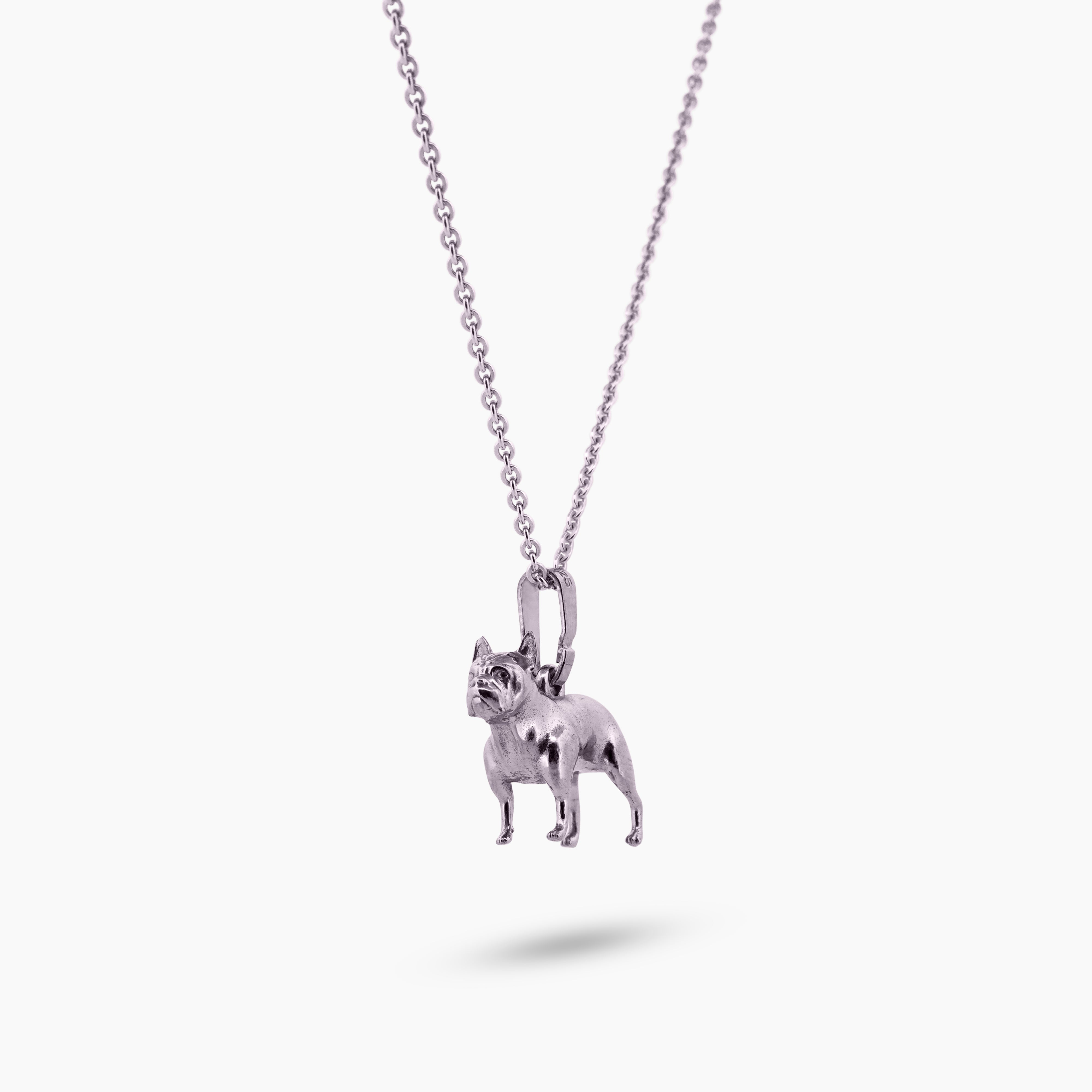 Pinchme bedel, bedel van Franse Bulldog aan een ketting – speels gepresenteerd