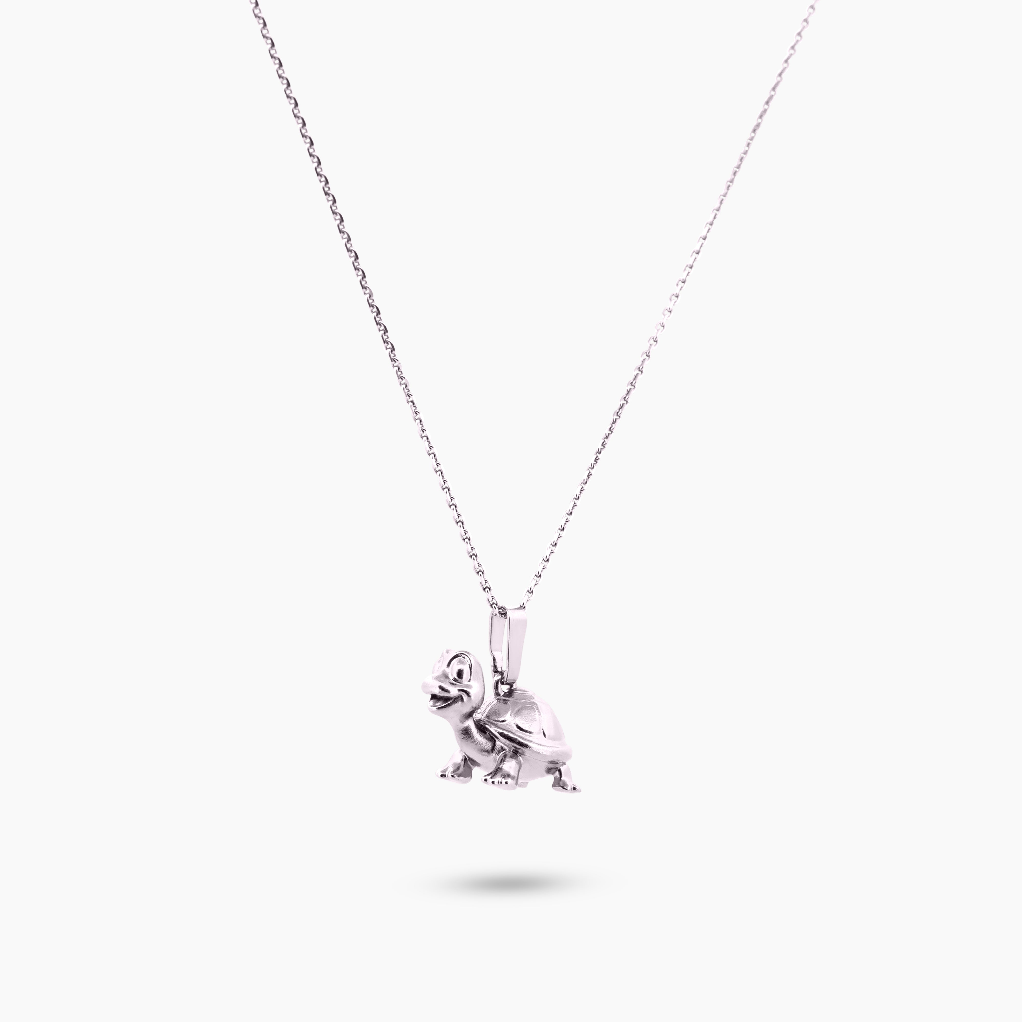 Pinchme bedel close-up van schildpad bedel met gedetailleerd rugschild